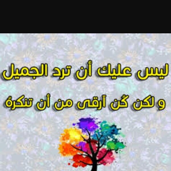 Zainb Waleed (@zainb_waleed) on Twitter photo 