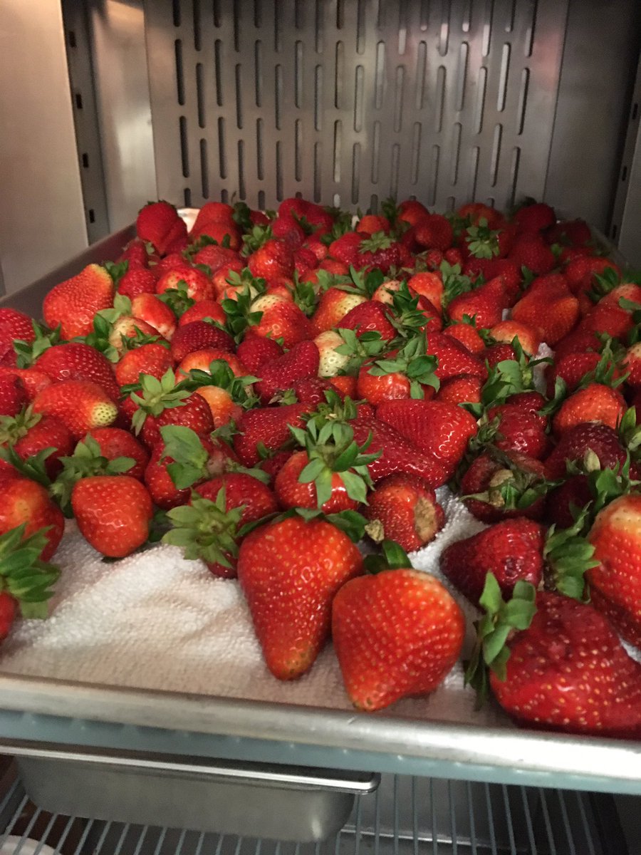 TurningGreenOrg's tweet photo. Beautiful organic berries chillin' for @consciouskitchn @TOMATERO_FARM #fresh #local #organic #seasonal #nongmo #flosn https://t.co/15L0mioYOF