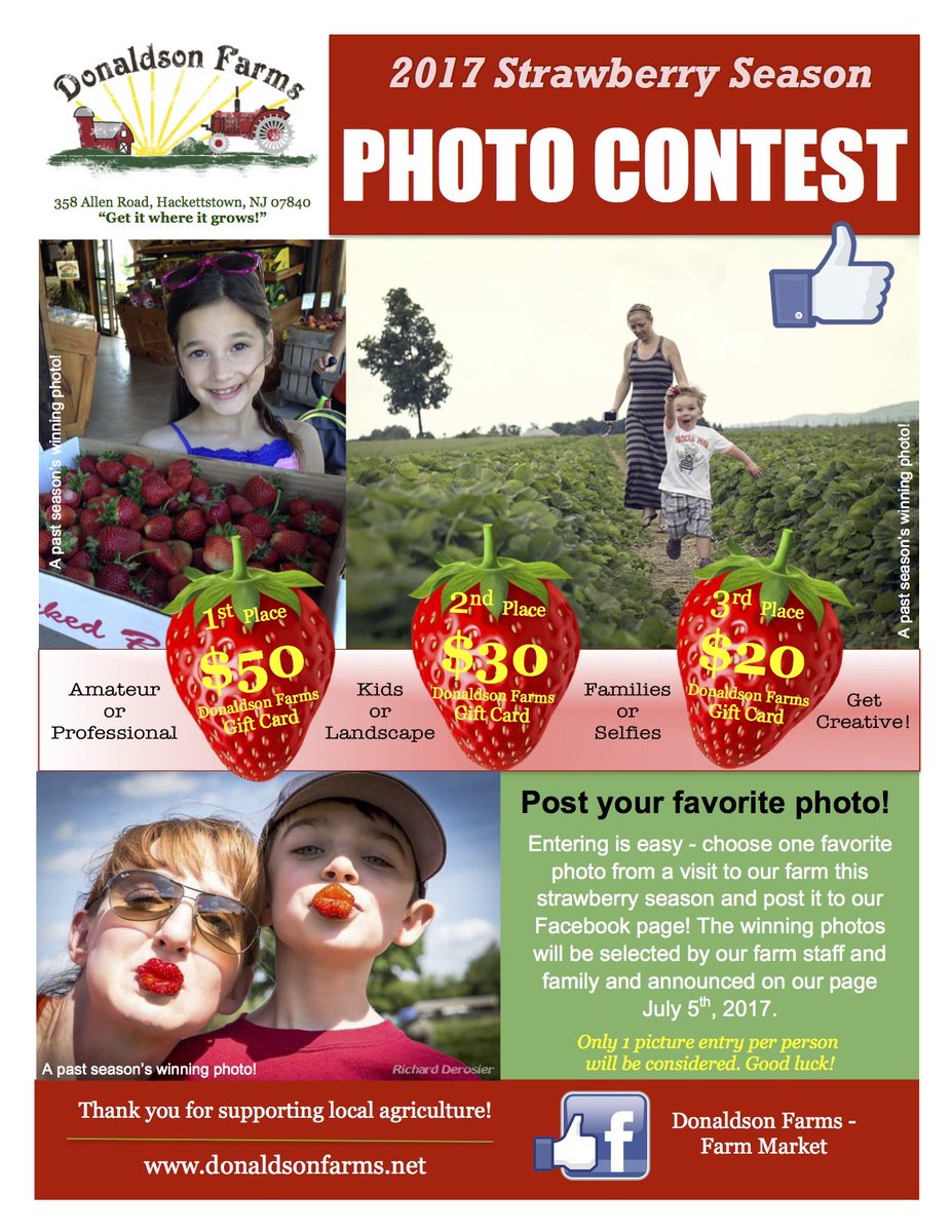 DonaldsonFarms's tweet photo. Strawberry Picking &amp; Photo Contest is what's happening on the farm! #Strawberries #NJPhoto #PickYourOwn #NJPhotography #jerseyfresh #NJfarms https://t.co/08BpfQeEq6