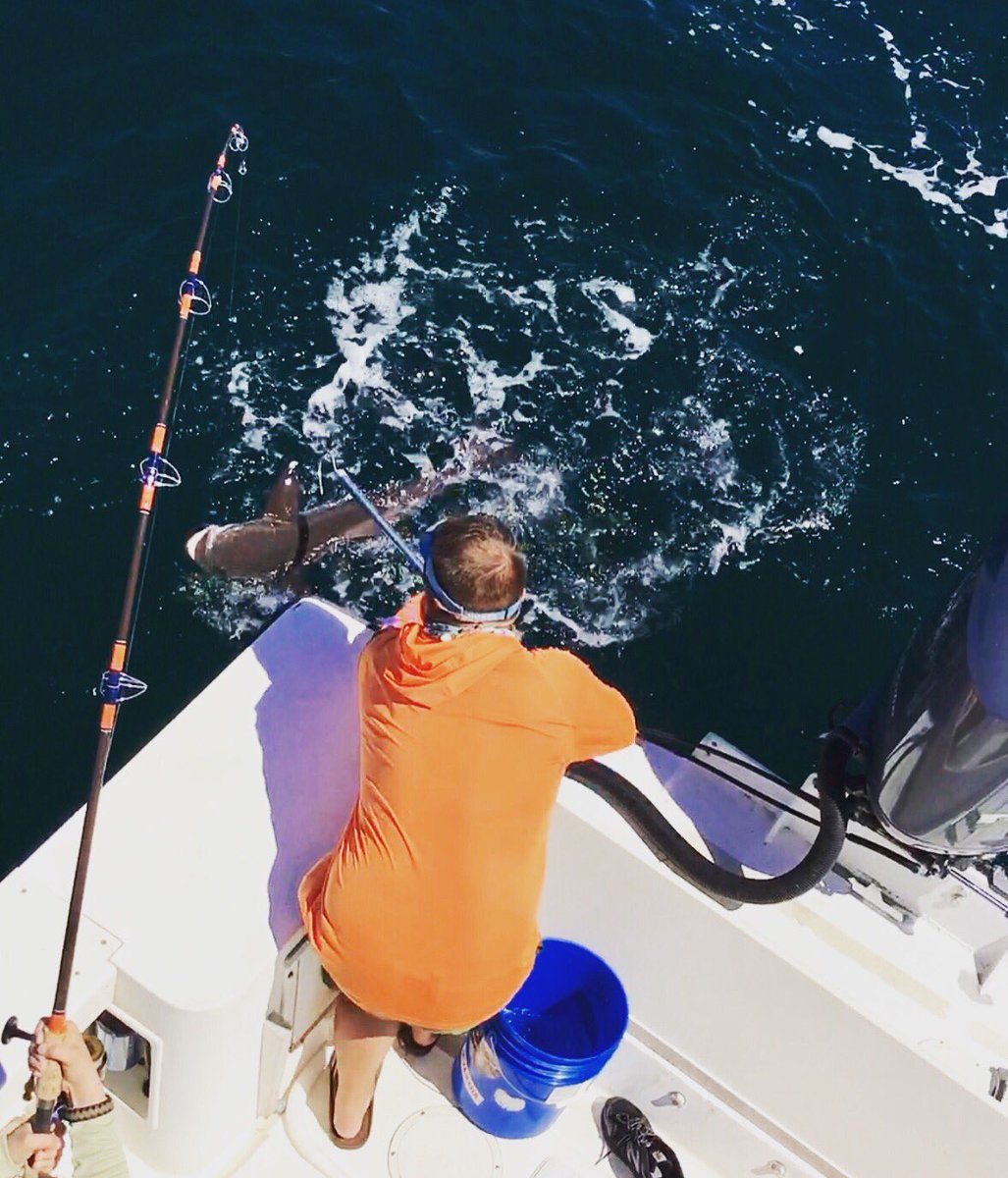 KingofKingsBoat's tweet photo. The best #catch is the one that fights the hardest. This ain't your Granny's catfish! Reel that bad boy in! #cobia #destinfl @todoindestin https://t.co/EyfXQWG8yE