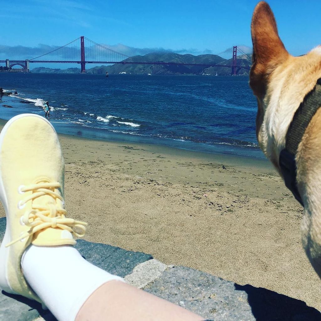 gojogojo's tweet photo. Progress! Hugo's happy about it. #byebyeboot https://t.co/2NRiwdjHLA https://t.co/32Sw2lv852