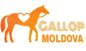 Moldova Times tweet media