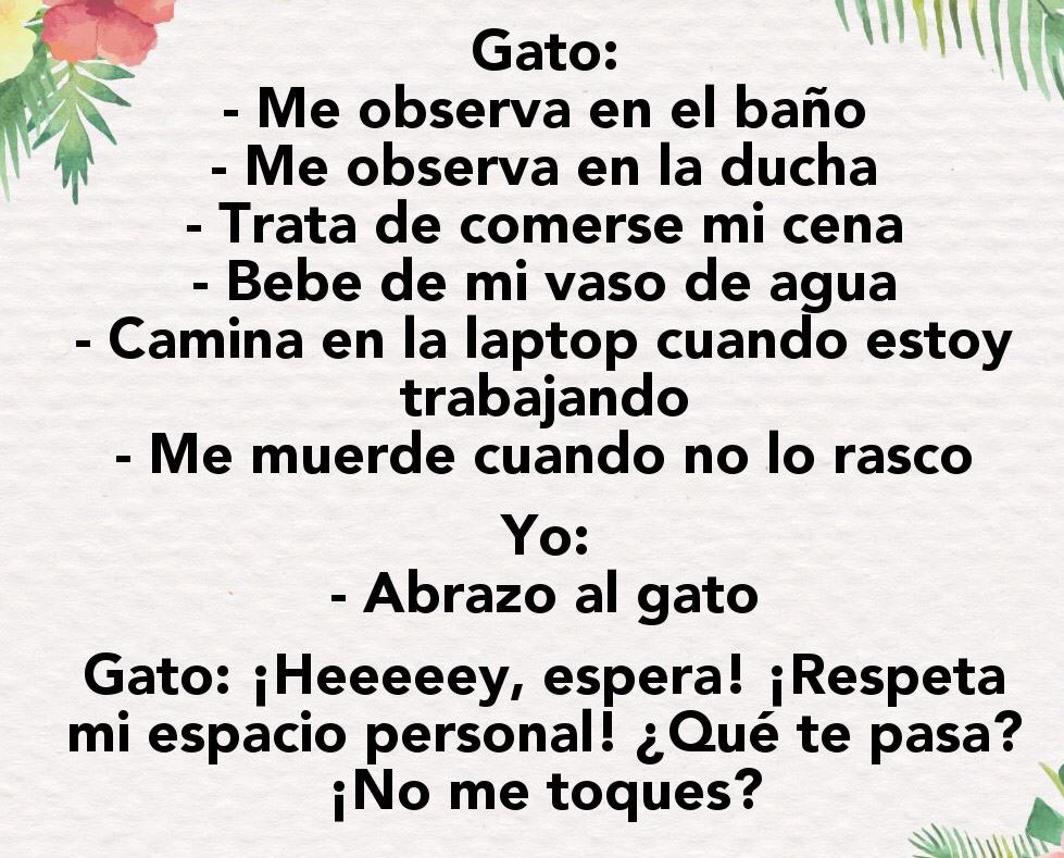 CarlosAmpuero's tweet photo. Si estos no son dobles estándares, entonces no sé...😒😒🤣 https://t.co/zcBnnHzsp0