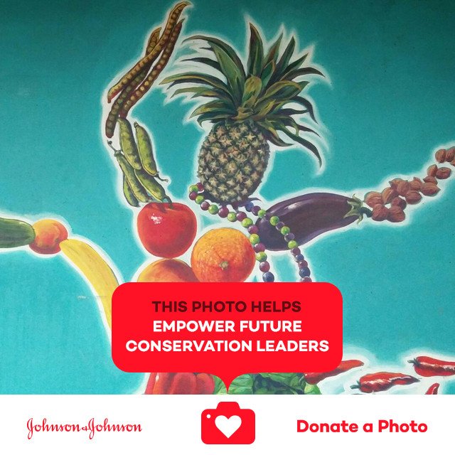 anitasunshine93's tweet photo. #art #SCAnyc #fruits #jnj #donateaphoto #CareToRecycle https://t.co/VUE7nXyuX1 https://t.co/q30enrvHXE