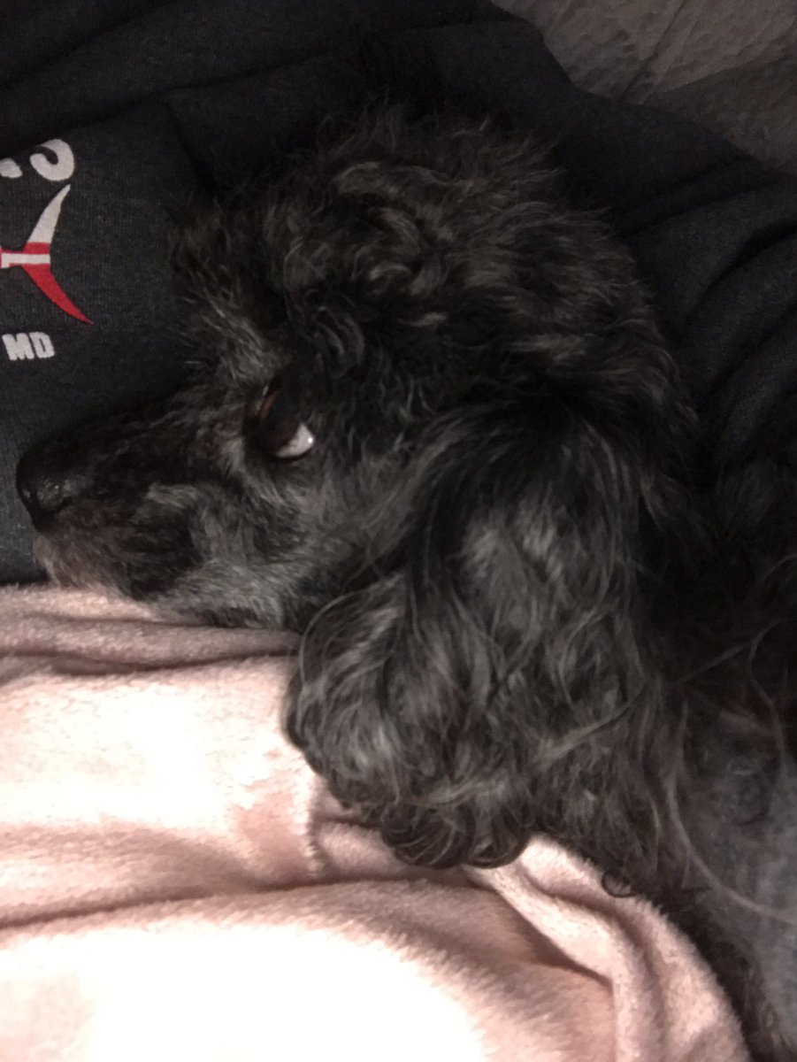 Ewalt15's tweet photo. Cuddles before work ❤️ https://t.co/r76NflLFiJ