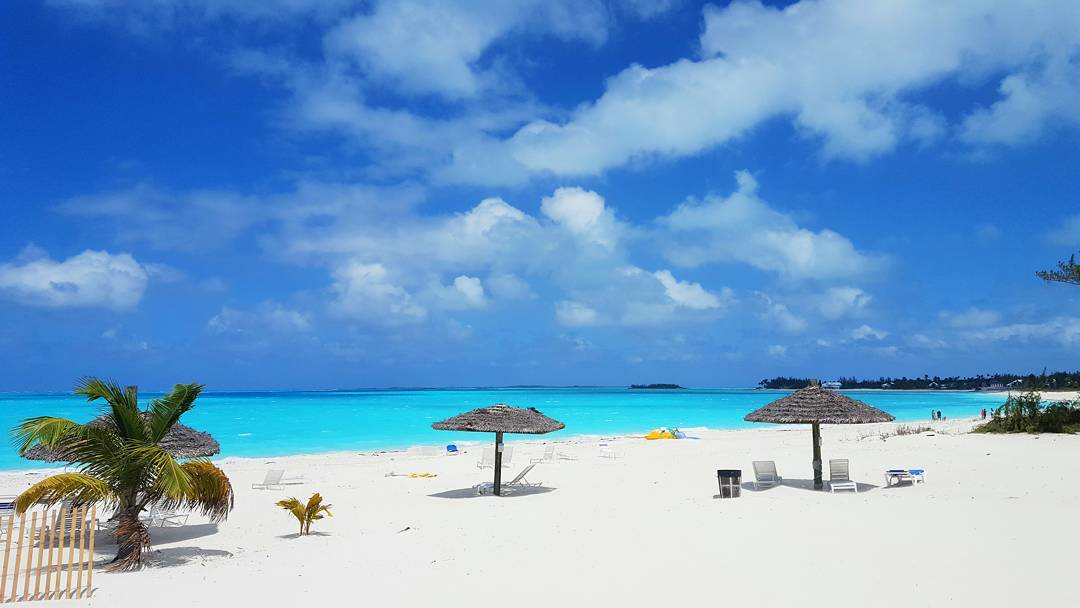 cheapcaribbean's tweet photo. Happy hour starts early on Friday. Cheers! #CocoBeachBar #Bahamas https://t.co/4IgojIP7tF
