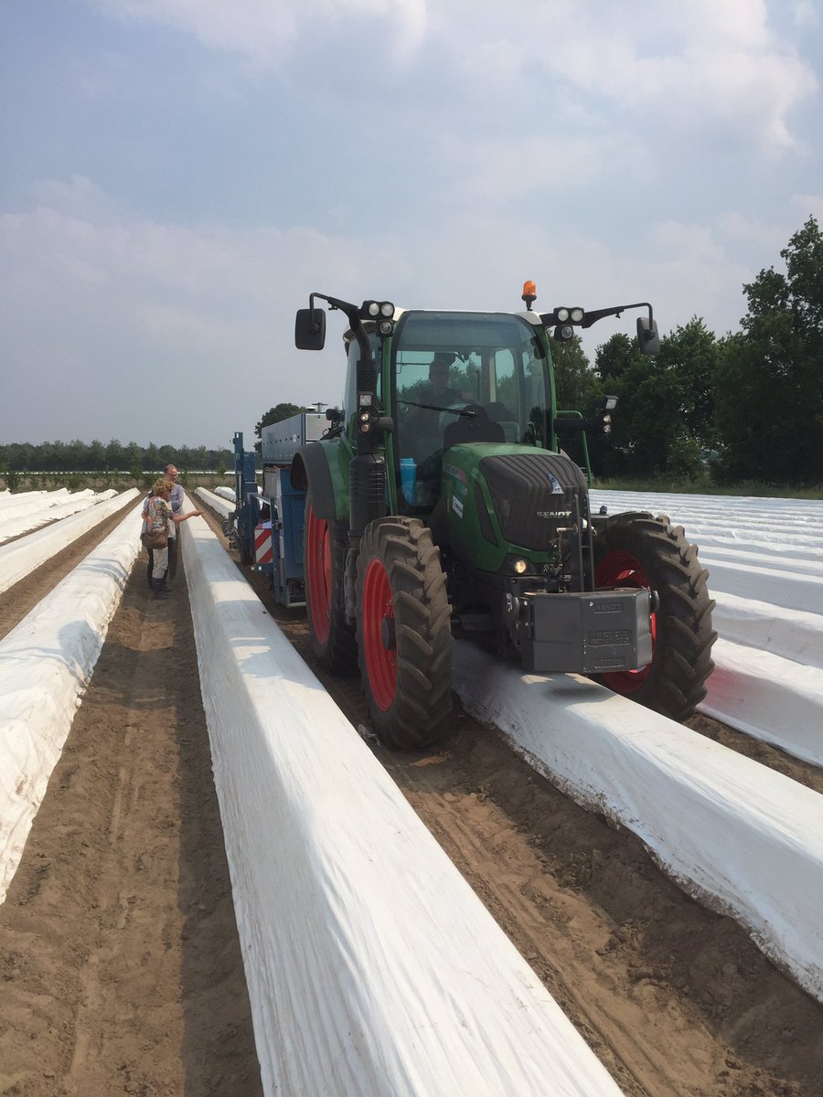 ArthurdeCrook's tweet photo. Late afternoon at #Cerescon asparagus harvester #robot demo w/ ao @eldertvanhenten https://t.co/QR4bwWtIj7