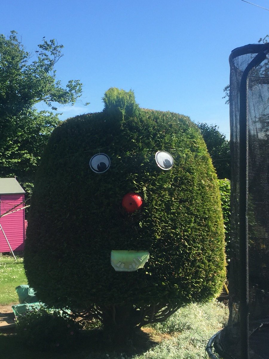 taniajouel's tweet photo. When Dad decides regular Horticulture just won't do................!!! #designertree π²π³π²ππ https://t.co/LGDD4v8iNH
