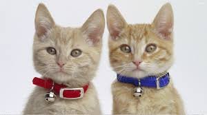 Lance_Edelman's tweet image. #HSBC #VoiceAuthentication tricked by twins - buff.ly/2qOxiXW #authentication #security #cybersecurity #infosec