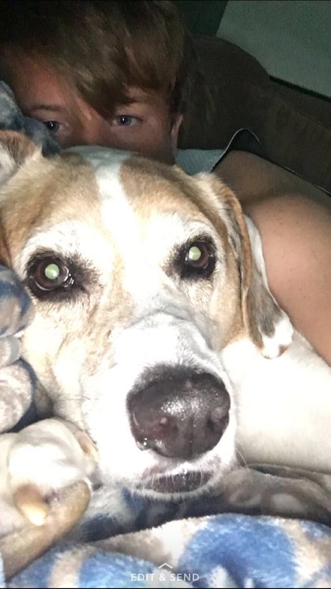 heaton_kenny's tweet photo. Rest easy Tucker. I loved u like a brother https://t.co/gw1S07gyJx
