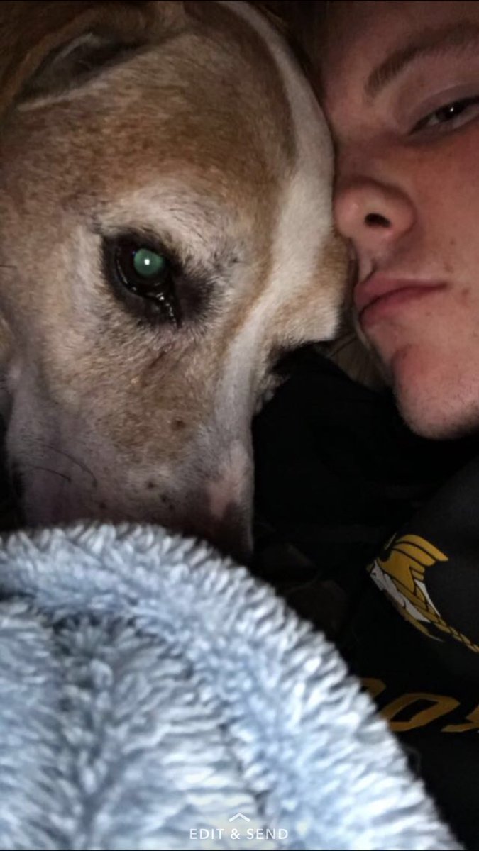 heaton_kenny's tweet photo. Rest easy Tucker. I loved u like a brother https://t.co/gw1S07gyJx
