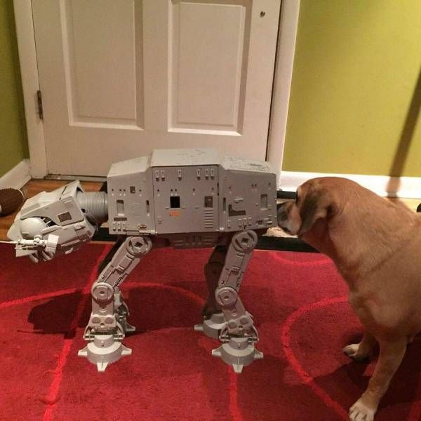 TailsTreasure's tweet photo. 'This is how we greet each other on my planet' https://t.co/YCmxHsOxrn