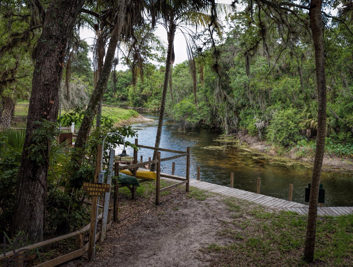 HollyElmoreATL's tweet photo. View from our screened in porch dining at the #LingerLodge, a #Florida fresh-water #fishingcamp established in 1945, #oldflorida #restaurant https://t.co/IOHjhos0hS
