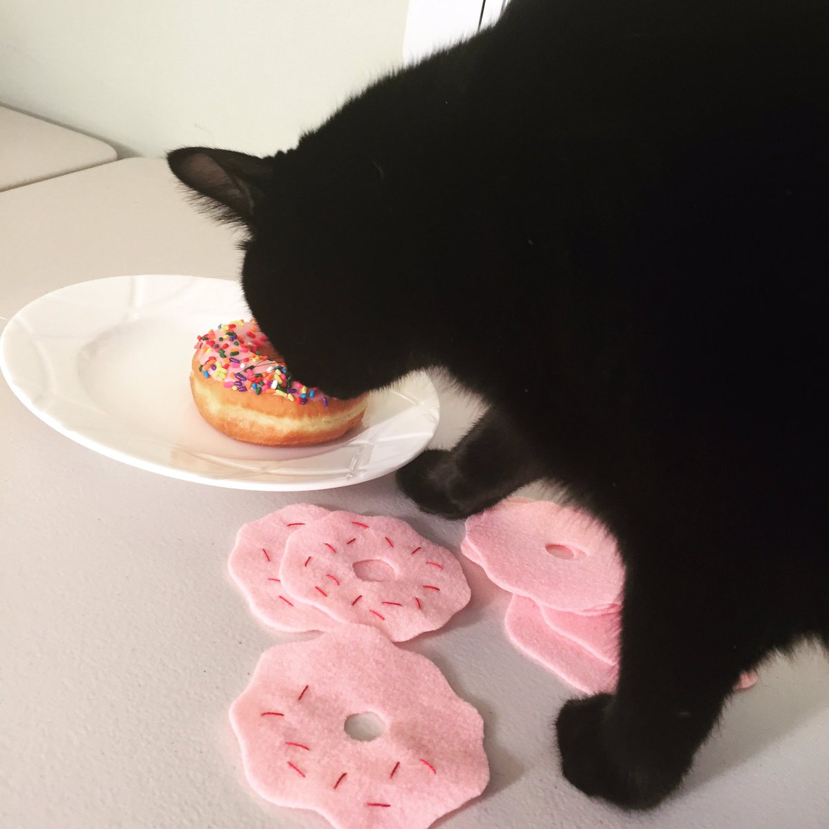 FurballFanatic's tweet photo. #NationalDonutDay purrfect time to make some catnip donuts while eating my favorite donut! 
#Donuts #catlover #furballfriday https://t.co/BzL8nD9FqN