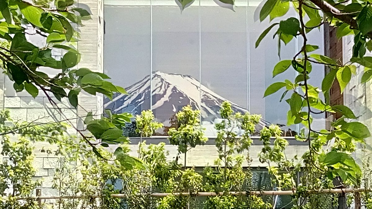 河口湖木の花美術館