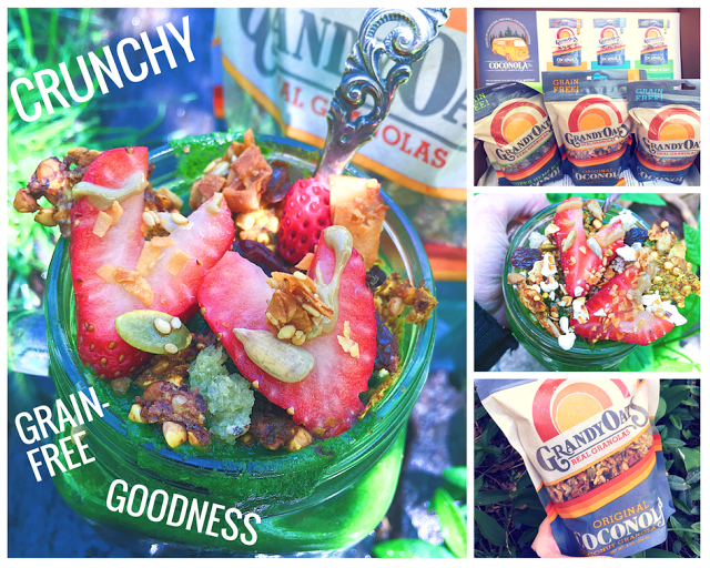 MIGlutenFreeGal's tweet image. I LOVE learning about new #paleo granolas, as I'm oat intolerant too. @CollegeCeliacKC shares about #Coconola buff.ly/2rkXzwL