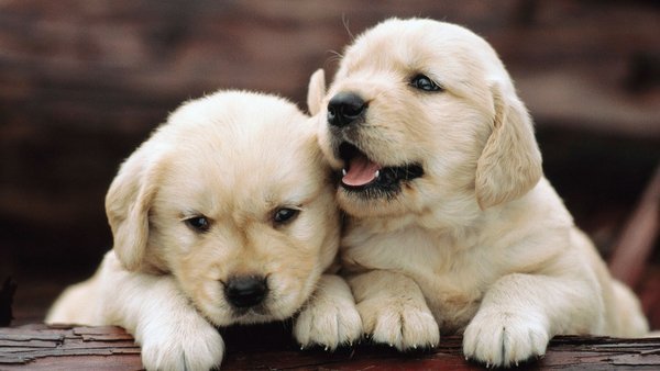 #ВзаимныйФолловинг #FollowBack #RuFollowBack #ЧитайМеняАяТебя #ЧитаюВзаимно #ЛøндøнскийЧайФолловитКøрuцу #follow #rufollow #РусскийФолловинг