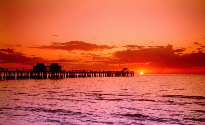 The Inn on Fifth tweet media