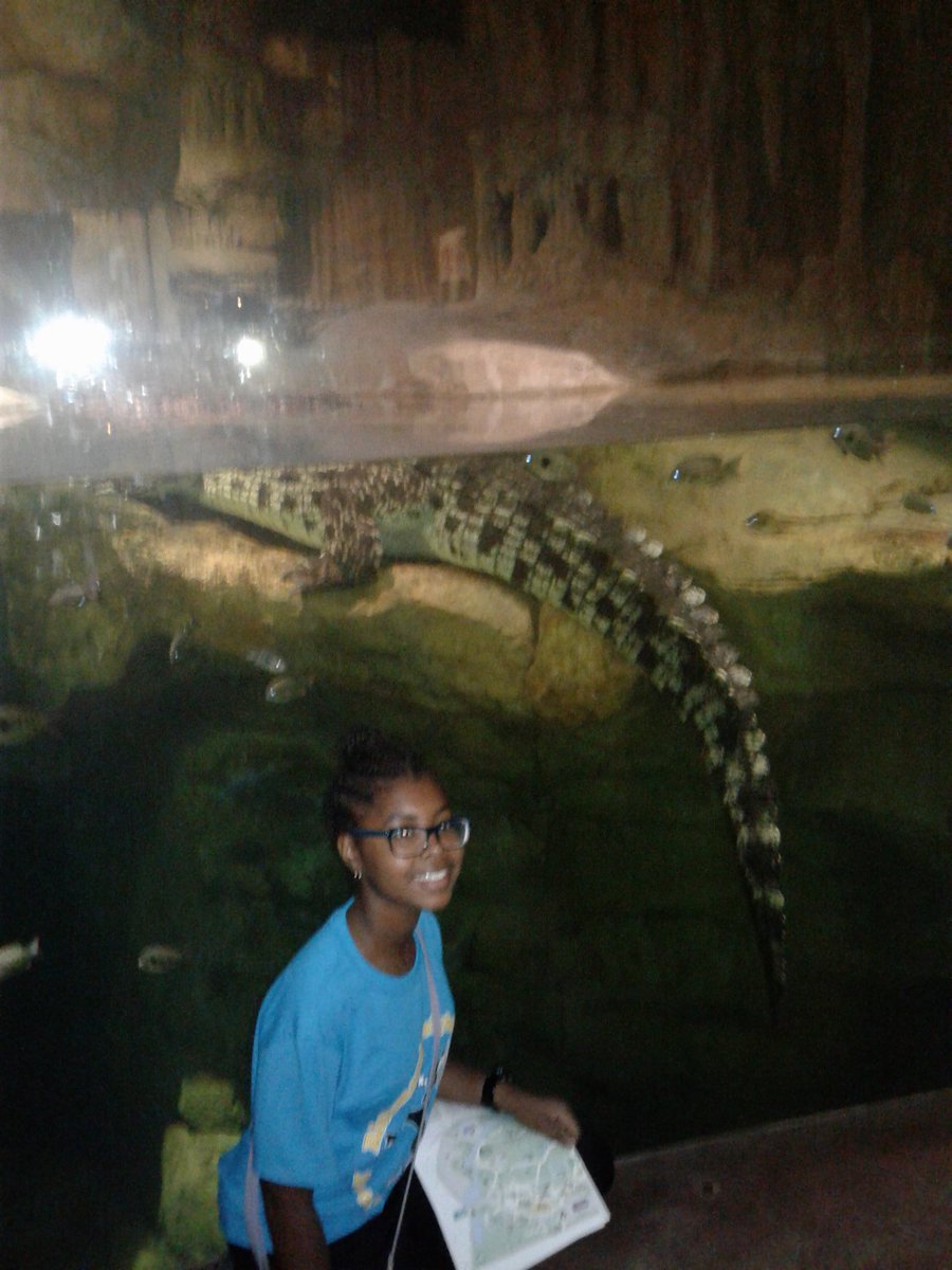RHMSZooMagnet's tweet photo. Teen Zoologist from @RHMSRaiders take their expertise from @zoomiami to @TheBronxZoo #wildlife
@MDCPSSouth @miamimagnets @MightyRaidersAP https://t.co/TNX62szJ1J