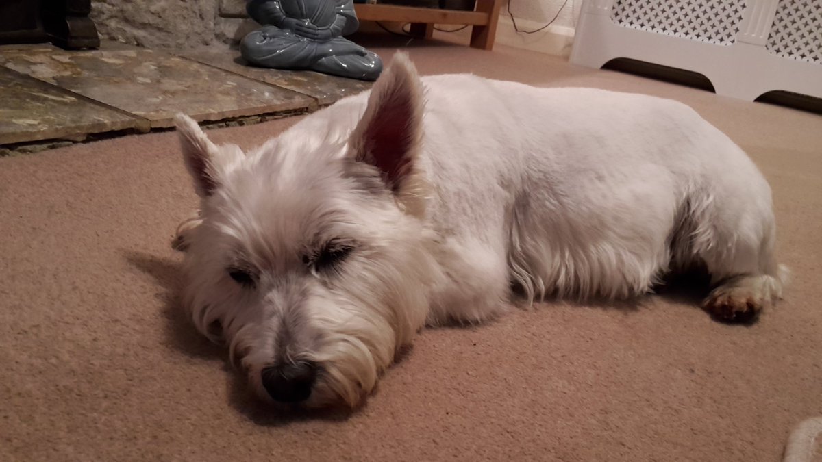 Paul Allen tweet media