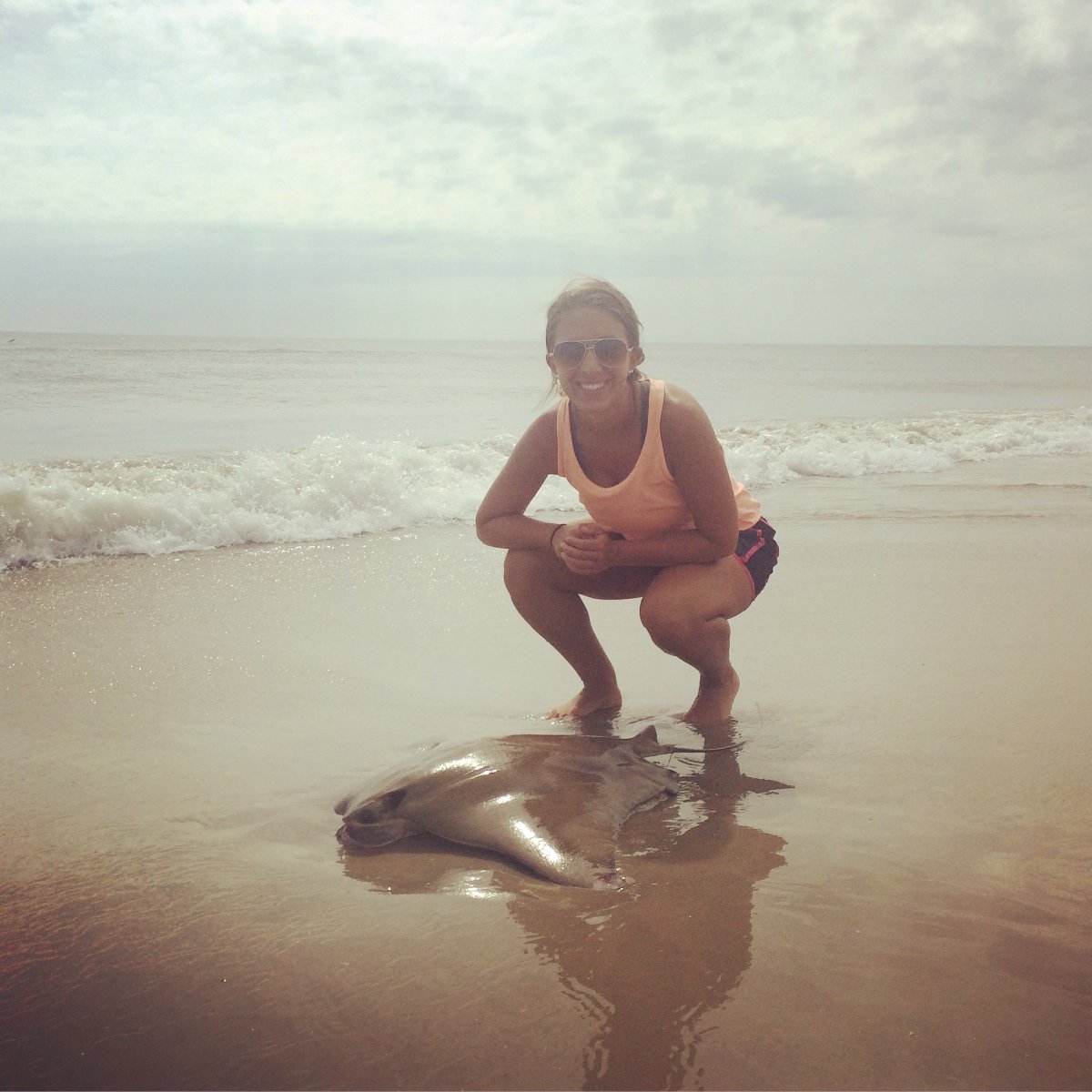 epvoigt's tweet photo. Check out @b_hadley8 new #scienceblog about #oceanoptics #measfieldcourse https://t.co/d1Ml3sZb5O @closburn @CMAST_NCSU @NCStateSciences https://t.co/O1EOR0nflH