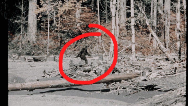 redfringe's tweet photo. @AmazingPhil so i guess we can say that bigfoot is real as well...if we take a bit of a closer... look.... https://t.co/eEQ4mm39p6