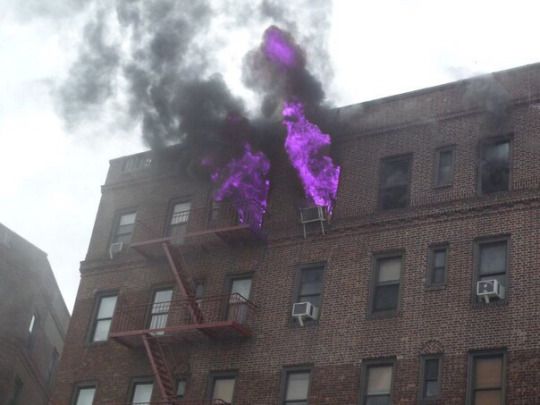 When bison bust a nut so hard his psycho power blows up.