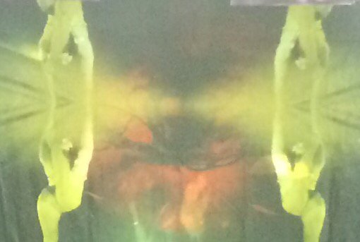 SusanEAldworth's tweet photo. Dorment vous? with music by Barney Quinton's sleeping brain premieres 7 June in The Dark Self #darkself @yorkstmarys https://t.co/7qz1AthQwW