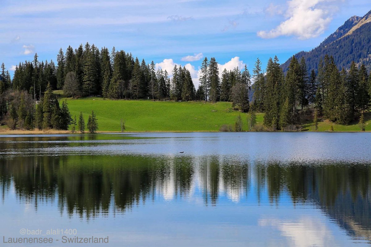 بحيرة Lauenensee السويسرية
لعشاق المشي والتصوير📸
N46 23.616
E007 20.454
عن قشتاد ٢٠ دقيقة
ساعة ونص عن انترلاكن
#احداثيات_سويسرا
#switzerland