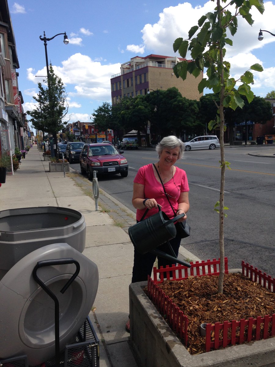 leaf's tweet image. Calling #Junction tree lovers! June 5th info session, 6:30pm, Annette Library  #AdoptAStreetTree yourleaf.org/calendar/list-… @DoucetteWard13