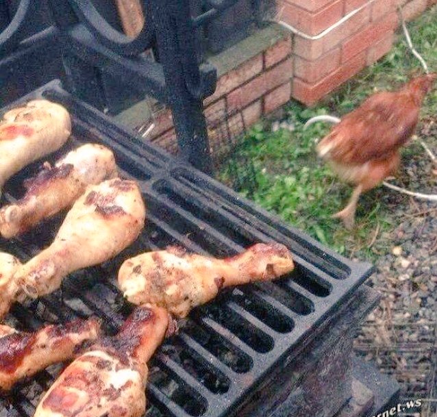 TEMPERAMENTE11's tweet photo. Ainda que eu ande pelo vale da sombra da morte, não temerei mal algum https://t.co/j8Fjy5ceAr