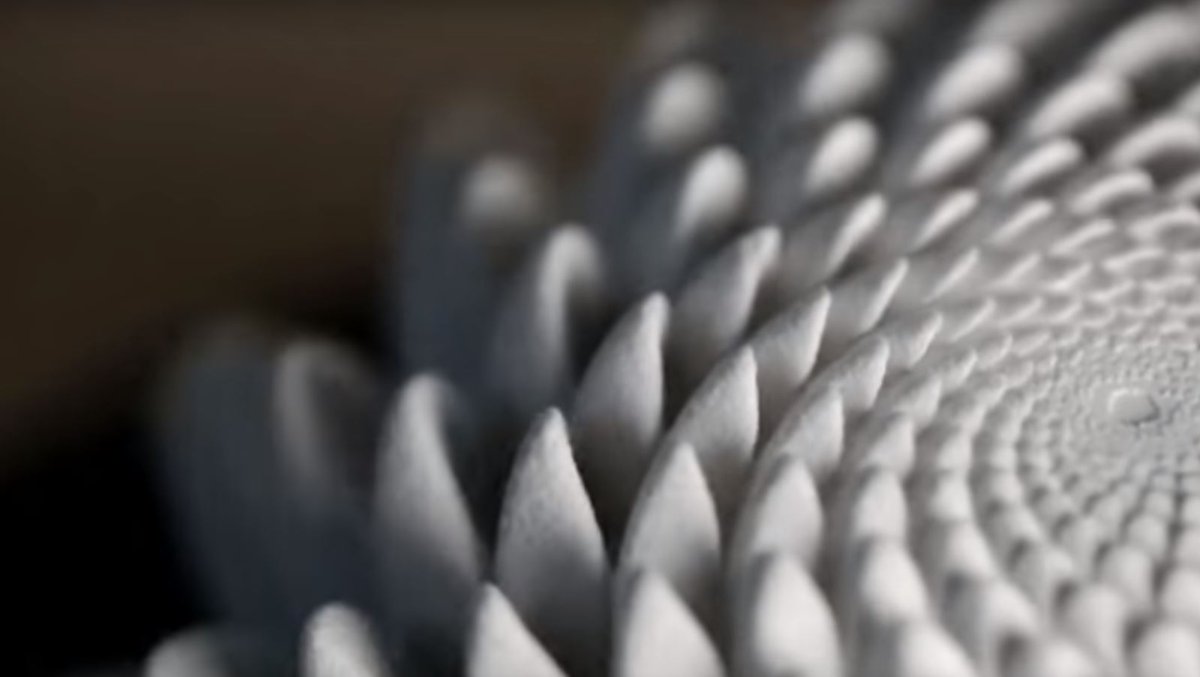 Never ending Blooming forms! 
youtube.com/watch?v=B5p2A5…