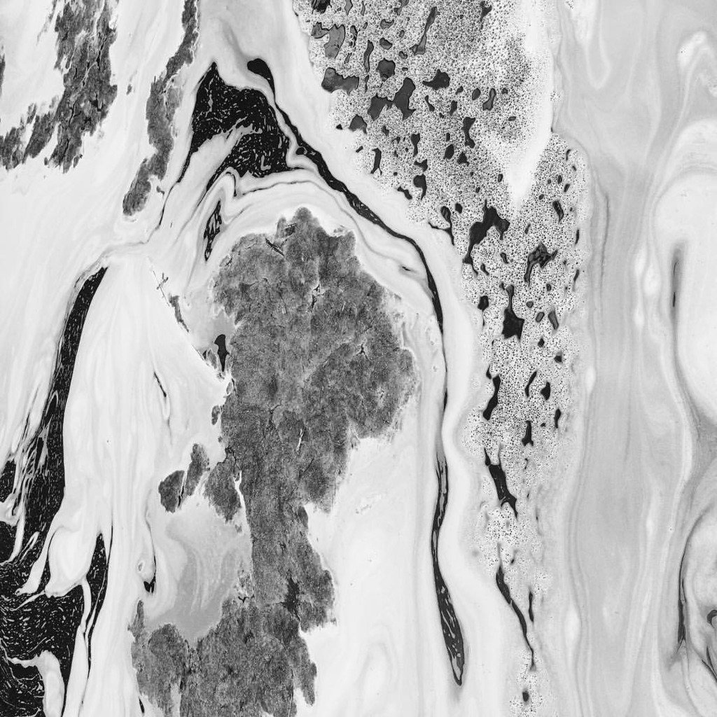 Night Owl tweet media