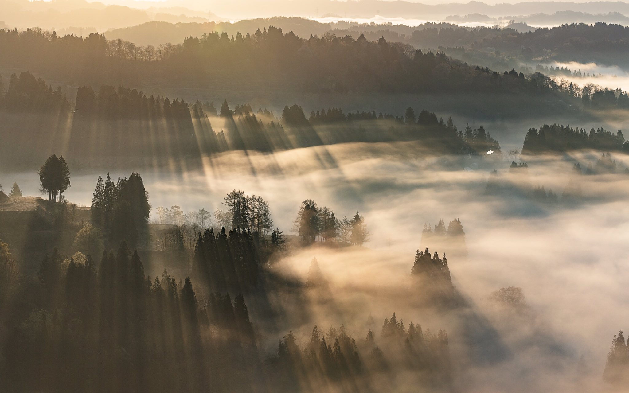 Takato 身近な絶景を星峠の棚田より Unkaidelic 星峠 星峠の棚田 雲海 新潟が美しい 美しき新潟の風景