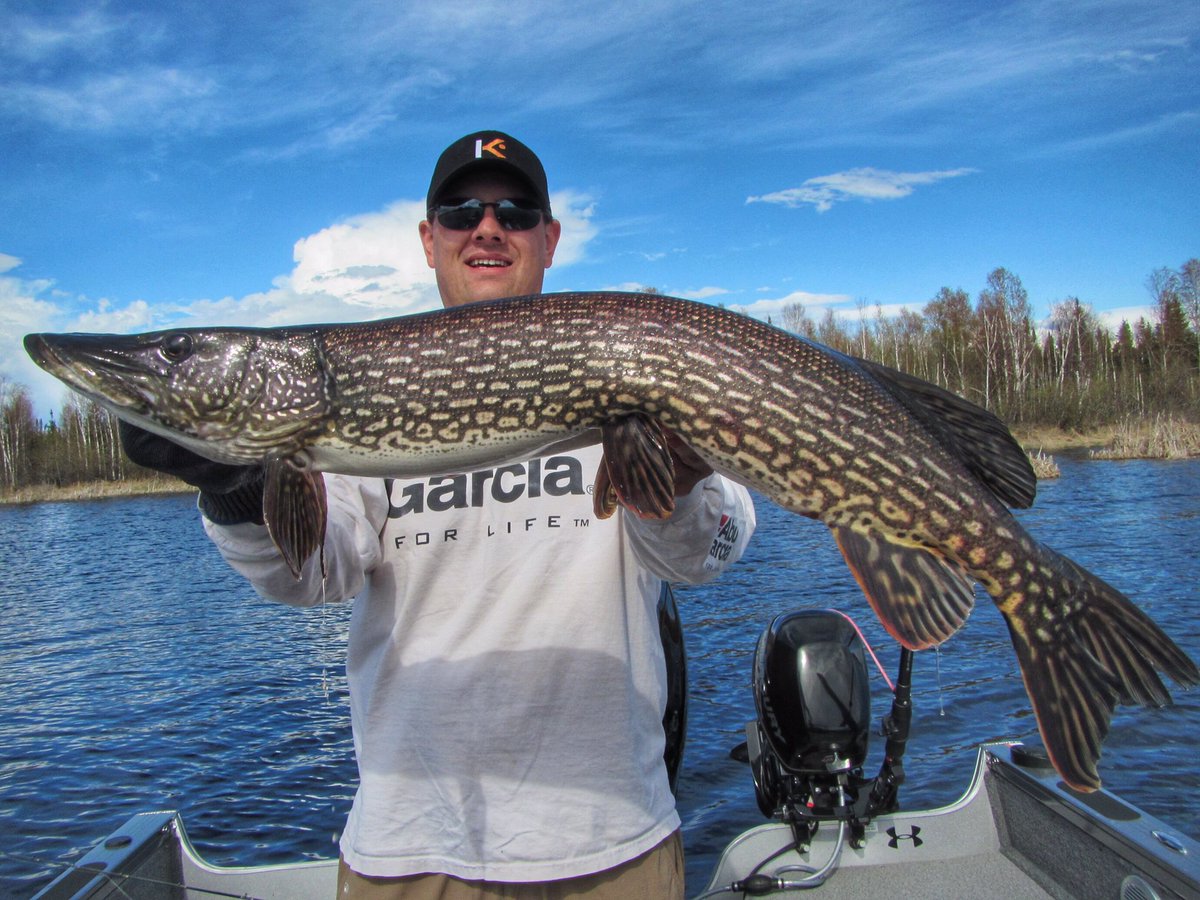 northangling's tweet image. Happy #FishingFriday!  Hope everyone has a great weekend on the water or anywhere else you are! #FridayFeeling #exploresask #pike #fishing