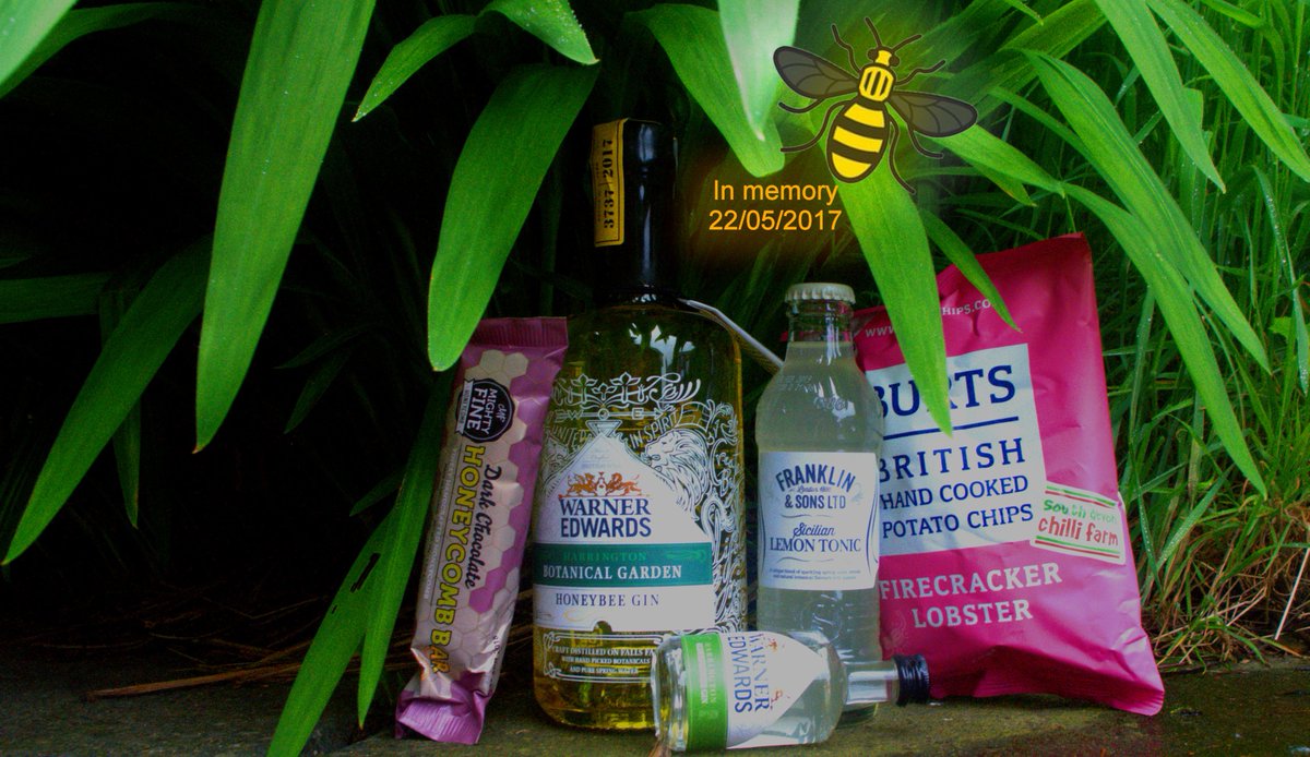 Phil Steadman tweet media