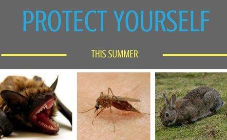 PuebloHealth's tweet image. Protect yourself from diseases that animals and insects can give you in Pueblo 🦇 learn more about #summervectors goo.gl/W76GNc