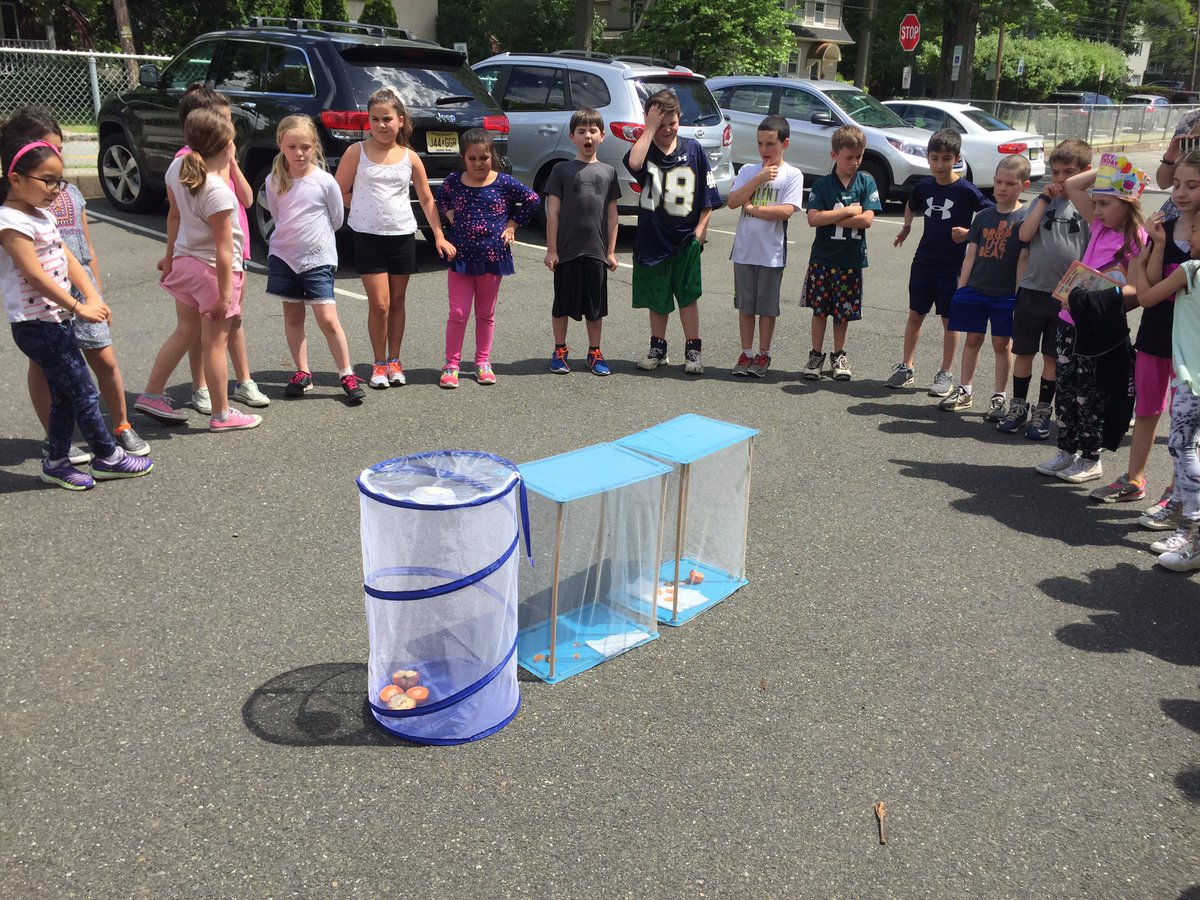 Danielle Camerato tweet media