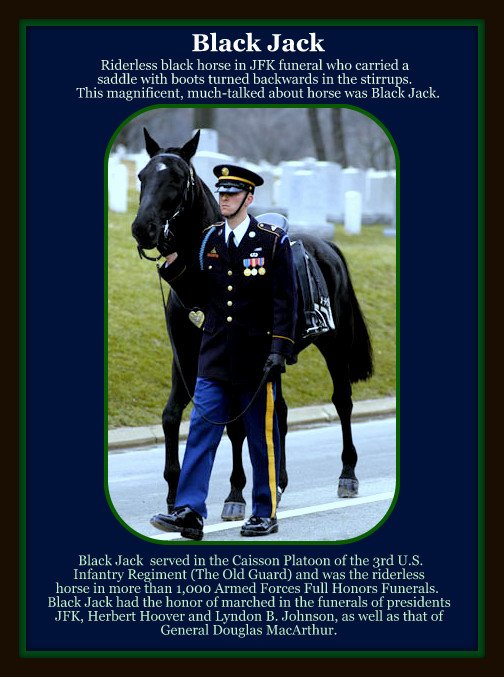 AnimalWorldUSA's tweet photo. #BlackJack #Caparisoned & #Caisson #horses" 1 of 2 buried full #militaryhonors #JFK #Vets https://t.co/lwvqJR3rj8 https://t.co/raMdxj0Gjm https://t.co/CYw6htKGO4