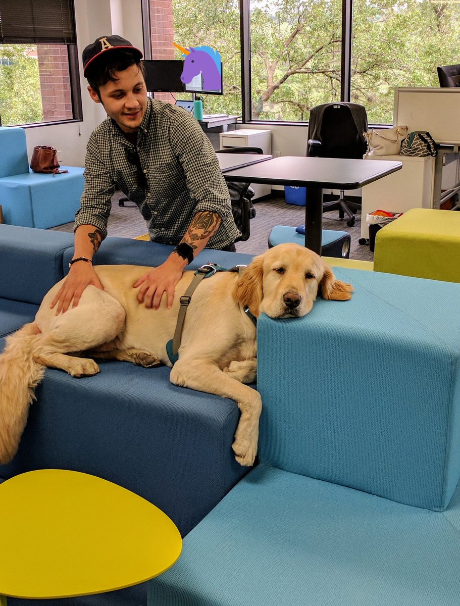 vyopta's tweet photo. "Hey guys, creating the next unicorn is really Ruff..." (If dogs could talk) We ♥️ Romulus @tazimmerz #startuplife #doglife #dogsofvyopta https://t.co/KqrHmLAhTx
