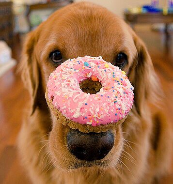 midwesthear's tweet photo. Whether you celebrate by wearing or eating them, remember to pick up your donuts today. #donutday #🍩 #ENT #Midwest #NationalDoughnutDay https://t.co/auD64ViIH6