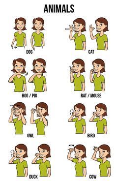 Unusual image pertaining to asl animal signs printable Monster image with asl animal signs printable
