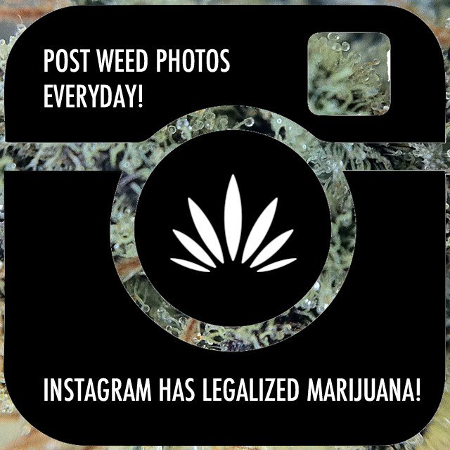 ReeferNetwork's tweet image. Must Read : Instagram is a much bigger threat to society than weed reefernetwork.com/2017/06/01/mus…