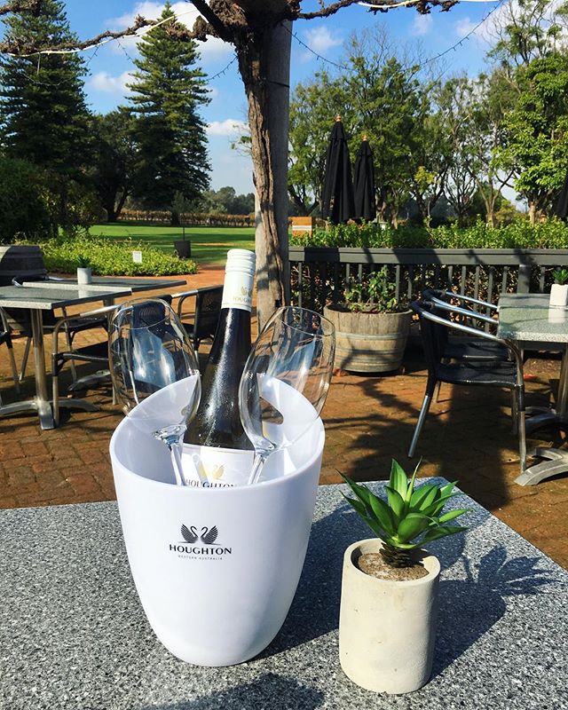 Enjoying sunshine at Houghton Winery #HoughtonWines 📷: @shelbymunn
