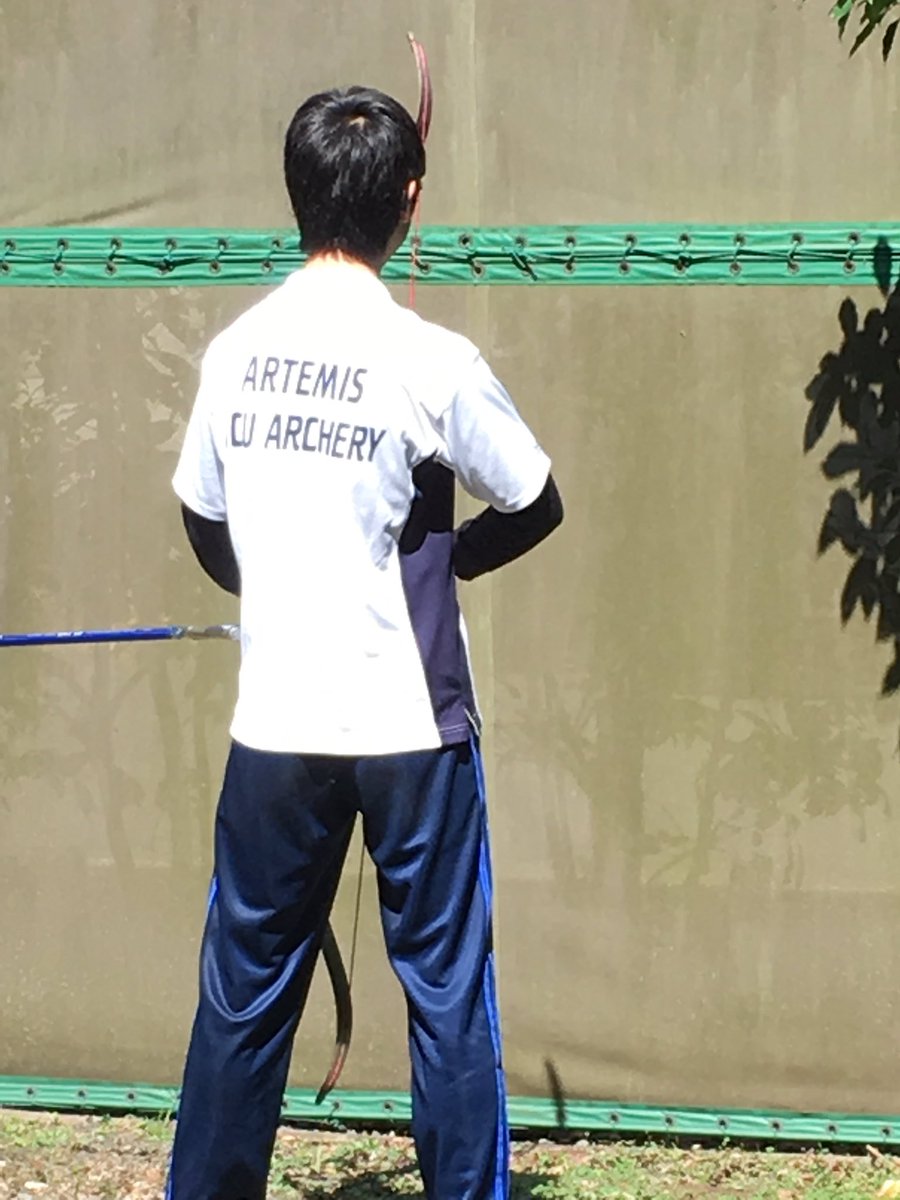 ICUArtemis tweet picture