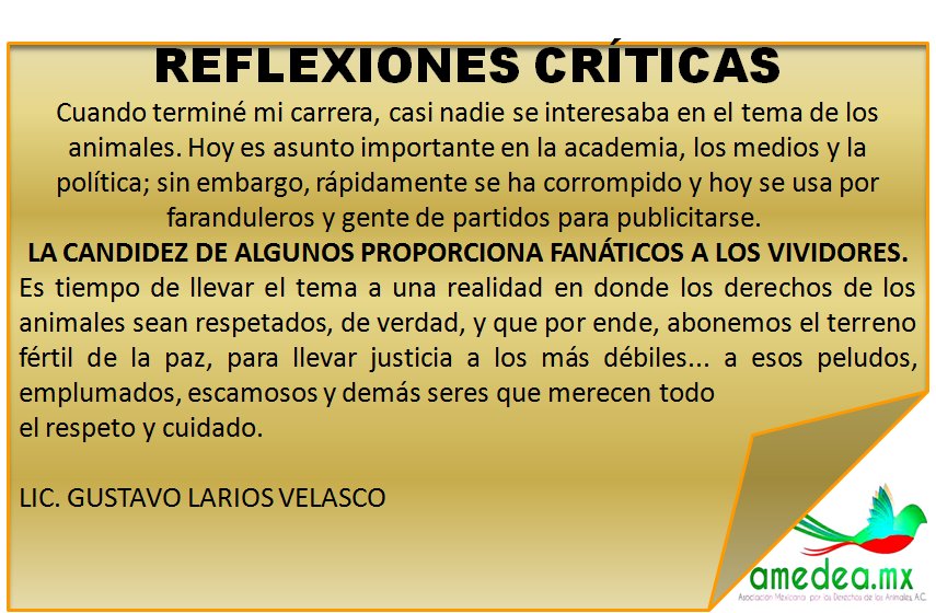 Gustavo Larios tweet media