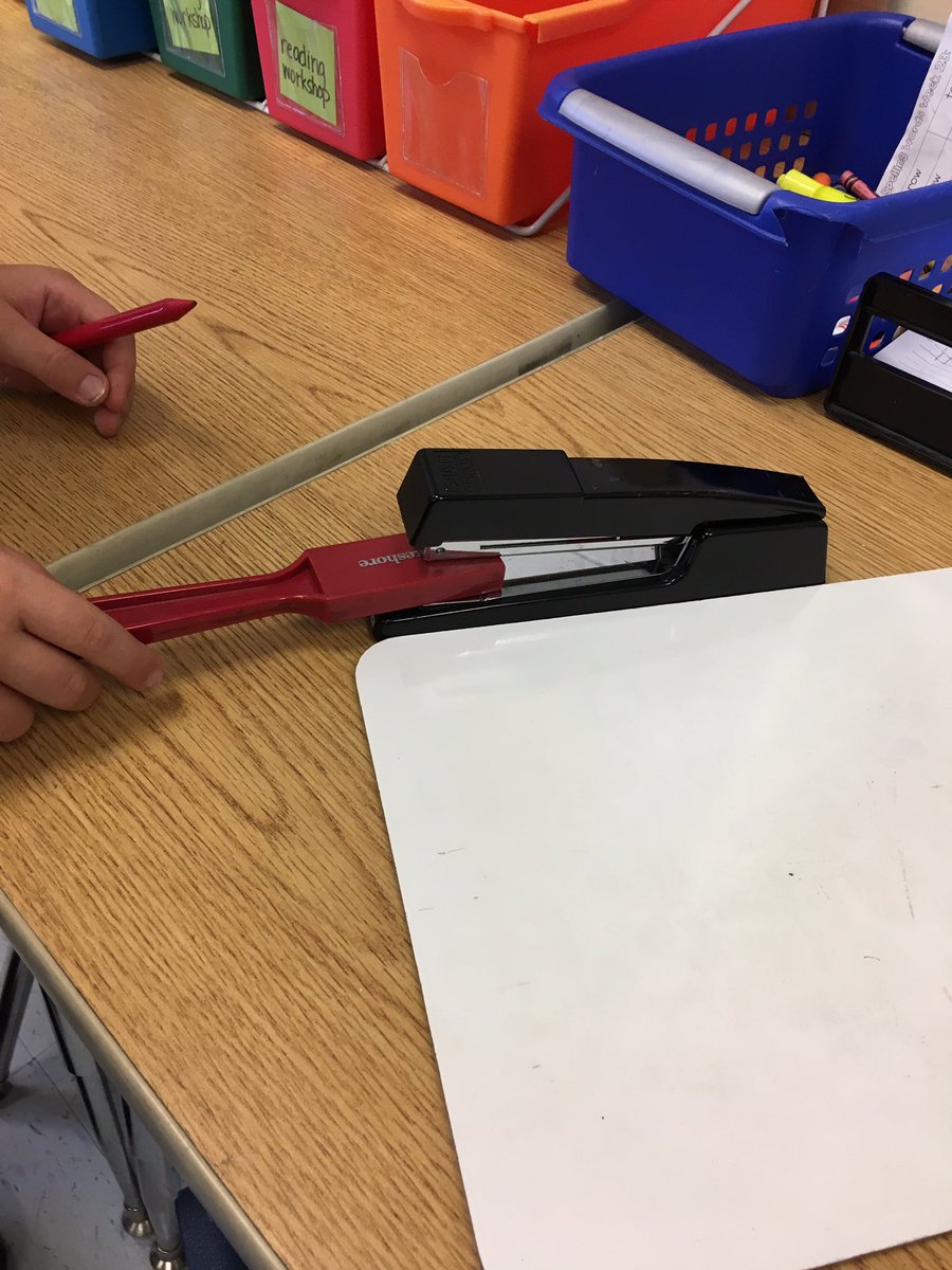 Lindsey Schaller tweet media