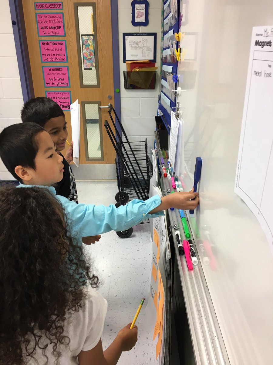 Lindsey Schaller tweet media