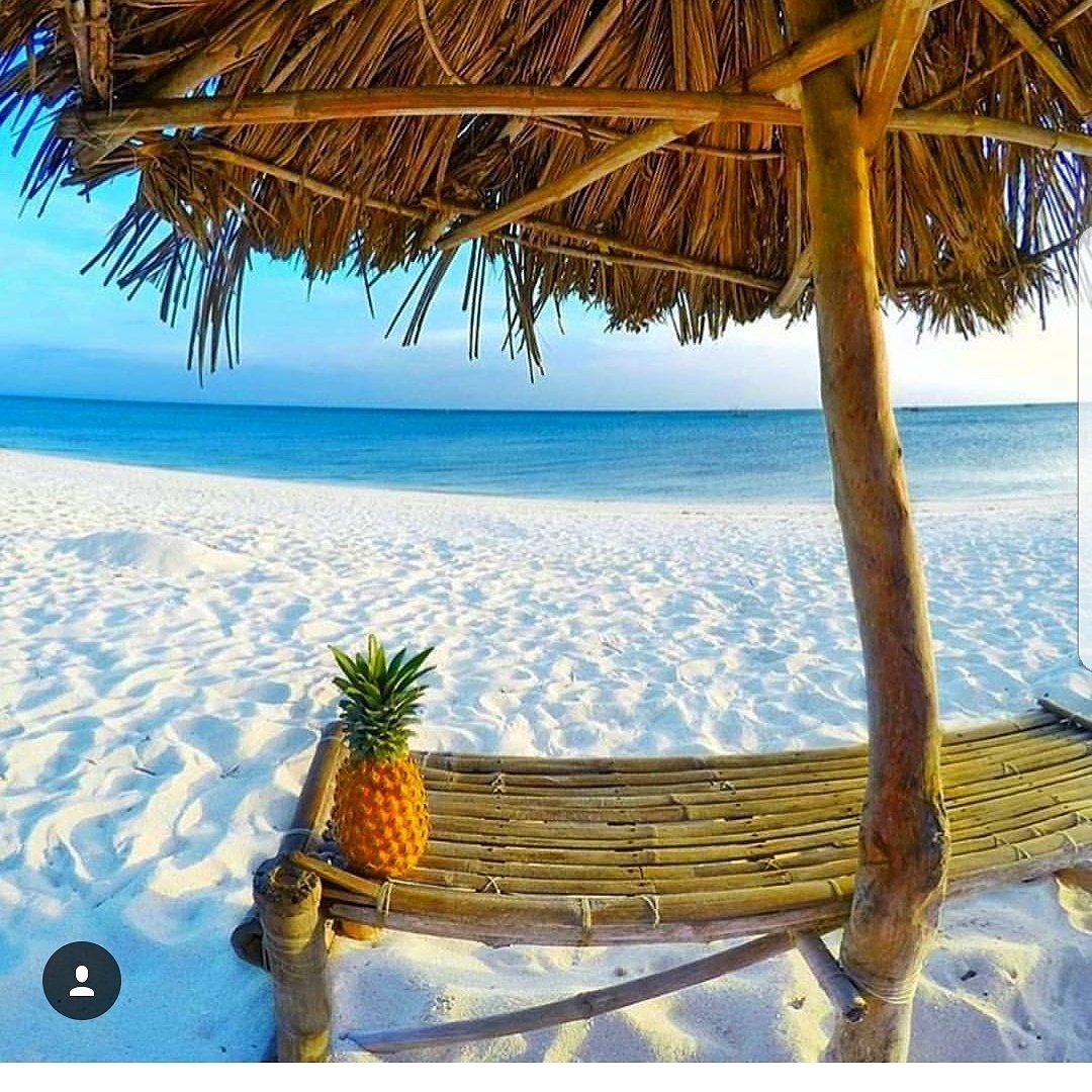 LacQrd's tweet photo. Day dreaming about #bantayanisland ππππ
#somewhereonabeach #LacQrd #pineappleweek #pineappleseries #tgif #sandybeach #cheerstotheweekend https://t.co/WNEzhptjaa