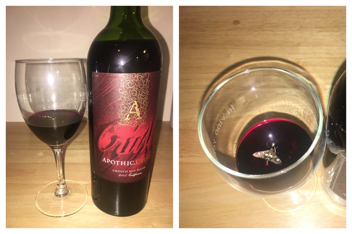 stefwill711's tweet photo. @ApothicWine ..my excitement of trying a new wine died when this moth poured out of the bottle and into my glass https://t.co/KkrUdkrHdo